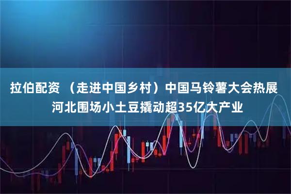 拉伯配资 （走进中国乡村）中国马铃薯大会热展  河北围场小土豆撬动超35亿大产业